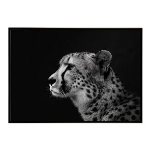 Cheetah �`�[�^�[ �T�o���i �A�t���J ���� ���R �l�C�`���[ ���� �A�j�}�� �쐶���� �ʐ^ �L�|�X�^�[ �C���e���A ������� �v�����g�|�X�^�[ �t�H�g �V���v�� ������ ���� �傫��/lh-poster-6341