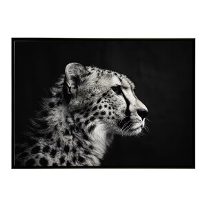 Cheetah �`�[�^�[ �T�o���i �A�t���J ���� ���R �l�C�`���[ ���� �A�j�}�� �쐶���� �ʐ^ �L�|�X�^�[ �C���e���A ������� �v�����g�|�X�^�[ �t�H�g �V���v�� ������ ���� �傫��/lh-poster-6342