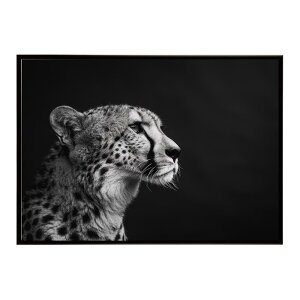 Cheetah �`�[�^�[ �T�o���i �A�t���J ���� ���R �l�C�`���[ ���� �A�j�}�� �쐶���� �ʐ^ �L�|�X�^�[ �C���e���A ������� �v�����g�|�X�^�[ �t�H�g �V���v�� ������ ���� �傫��/lh-poster-6345