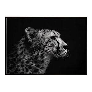 Cheetah �`�[�^�[ �T�o���i �A�t���J ���� ���R �l�C�`���[ ���� �A�j�}�� �쐶���� �ʐ^ �L�|�X�^�[ �C���e���A ������� �v�����g�|�X�^�[ �t�H�g �V���v�� ������ ���� �傫��/lh-poster-6346