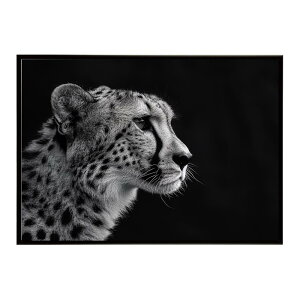 Cheetah �`�[�^�[ �T�o���i �A�t���J ���� ���R �l�C�`���[ ���� �A�j�}�� �쐶���� �ʐ^ �L�|�X�^�[ �C���e���A ������� �v�����g�|�X�^�[ �t�H�g �V���v�� ������ ���� �傫��/lh-poster-6348