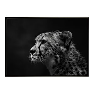 Cheetah �`�[�^�[ �T�o���i �A�t���J ���� ���R �l�C�`���[ ���� �A�j�}�� �쐶���� �ʐ^ �L�|�X�^�[ �C���e���A ������� �v�����g�|�X�^�[ �t�H�g �V���v�� ������ ���� �傫��/lh-poster-6350