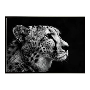 Cheetah �`�[�^�[ �T�o���i �A�t���J ���� ���R �l�C�`���[ ���� �A�j�}�� �쐶���� �ʐ^ �L�|�X�^�[ �C���e���A ������� �v�����g�|�X�^�[ �t�H�g �V���v�� ������ ���� �傫��/lh-poster-6353