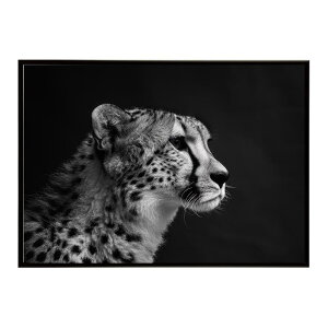 Cheetah �`�[�^�[ �T�o���i �A�t���J ���� ���R �l�C�`���[ ���� �A�j�}�� �쐶���� �ʐ^ �L�|�X�^�[ �C���e���A ������� �v�����g�|�X�^�[ �t�H�g �V���v�� ������ ���� �傫��/lh-poster-6354