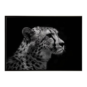 Cheetah �`�[�^�[ �T�o���i �A�t���J ���� ���R �l�C�`���[ ���� �A�j�}�� �쐶���� �ʐ^ �L�|�X�^�[ �C���e���A ������� �v�����g�|�X�^�[ �t�H�g �V���v�� ������ ���� �傫��/lh-poster-6355