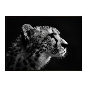 Cheetah �`�[�^�[ �T�o���i �A�t���J ���� ���R �l�C�`���[ ���� �A�j�}�� �쐶���� �ʐ^ �L�|�X�^�[ �C���e���A ������� �v�����g�|�X�^�[ �t�H�g �V���v�� ������ ���� �傫��/lh-poster-6356