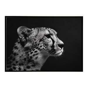 Cheetah �`�[�^�[ �T�o���i �A�t���J ���� ���R �l�C�`���[ ���� �A�j�}�� �쐶���� �ʐ^ �L�|�X�^�[ �C���e���A ������� �v�����g�|�X�^�[ �t�H�g �V���v�� ������ ���� �傫��/lh-poster-6357
