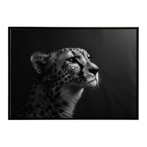 Cheetah �`�[�^�[ �T�o���i �A�t���J ���� ���R �l�C�`���[ ���� �A�j�}�� �쐶���� �ʐ^ �L�|�X�^�[ �C���e���A ������� �v�����g�|�X�^�[ �t�H�g �V���v�� ������ ���� �傫��/lh-poster-6359