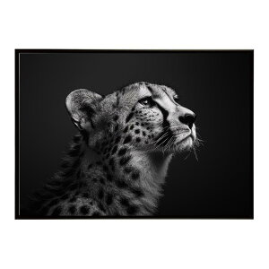 Cheetah �`�[�^�[ �T�o���i �A�t���J ���� ���R �l�C�`���[ ���� �A�j�}�� �쐶���� �ʐ^ �L�|�X�^�[ �C���e���A ������� �v�����g�|�X�^�[ �t�H�g �V���v�� ������ ���� �傫��/lh-poster-6362