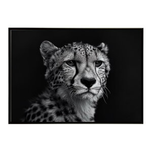 Cheetah �`�[�^�[ �T�o���i �A�t���J ���� ���R �l�C�`���[ ���� �A�j�}�� �쐶���� �ʐ^ �L�|�X�^�[ �C���e���A ������� �v�����g�|�X�^�[ �t�H�g �V���v�� ������ ���� �傫��/lh-poster-6364