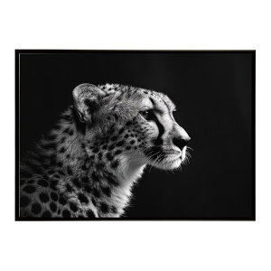 Cheetah �`�[�^�[ �T�o���i �A�t���J ���� ���R �l�C�`���[ ���� �A�j�}�� �쐶���� �ʐ^ �L�|�X�^�[ �C���e���A ������� �v�����g�|�X�^�[ �t�H�g �V���v�� ������ ���� �傫��/lh-poster-6365