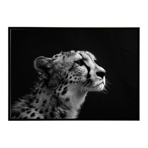 Cheetah �`�[�^�[ �T�o���i �A�t���J ���� ���R �l�C�`���[ ���� �A�j�}�� �쐶���� �ʐ^ �L�|�X�^�[ �C���e���A ������� �v�����g�|�X�^�[ �t�H�g �V���v�� ������ ���� �傫��/lh-poster-6368