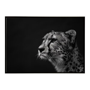 Cheetah �`�[�^�[ �T�o���i �A�t���J ���� ���R �l�C�`���[ ���� �A�j�}�� �쐶���� �ʐ^ �L�|�X�^�[ �C���e���A ������� �v�����g�|�X�^�[ �t�H�g �V���v�� ������ ���� �傫��/lh-poster-6369