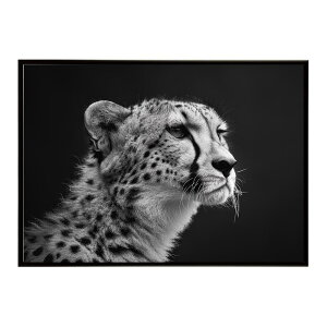 Cheetah �`�[�^�[ �T�o���i �A�t���J ���� ���R �l�C�`���[ ���� �A�j�}�� �쐶���� �ʐ^ �L�|�X�^�[ �C���e���A ������� �v�����g�|�X�^�[ �t�H�g �V���v�� ������ ���� �傫��/lh-poster-6372