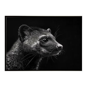 Civet �V�x�b�g �W�r�G �L �T�o���i �A�t���J ���� ���R �l�C�`���[ ���� �A�j�}�� �쐶���� �ʐ^�|�X�^�[ �C���e���A ������� �v�����g�|�X�^�[ �t�H�g �V���v�� ������ ���� �傫��/lh-poster-6
