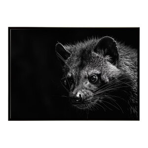 Civet �V�x�b�g �W�r�G �L �T�o���i �A�t���J ���� ���R �l�C�`���[ ���� �A�j�}�� �쐶���� �ʐ^�|�X�^�[ �C���e���A ������� �v�����g�|�X�^�[ �t�H�g �V���v�� ������ ���� �傫��/lh-poster-6