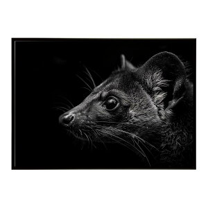 Civet �V�x�b�g �W�r�G �L �T�o���i �A�t���J ���� ���R �l�C�`���[ ���� �A�j�}�� �쐶���� �ʐ^�|�X�^�[ �C���e���A ������� �v�����g�|�X�^�[ �t�H�g �V���v�� ������ ���� �傫��/lh-poster-6