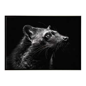 Civet �V�x�b�g �W�r�G �L �T�o���i �A�t���J ���� ���R �l�C�`���[ ���� �A�j�}�� �쐶���� �ʐ^�|�X�^�[ �C���e���A ������� �v�����g�|�X�^�[ �t�H�g �V���v�� ������ ���� �傫��/lh-poster-6
