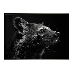 Civet �V�x�b�g �W�r�G �L �T�o���i �A�t���J ���� ���R �l�C�`���[ ���� �A�j�}�� �쐶���� �ʐ^�|�X�^�[ �C���e���A ������� �v�����g�|�X�^�[ �t�H�g �V���v�� ������ ���� �傫��/lh-poster-6