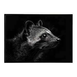 Civet �V�x�b�g �W�r�G �L �T�o���i �A�t���J ���� ���R �l�C�`���[ ���� �A�j�}�� �쐶���� �ʐ^�|�X�^�[ �C���e���A ������� �v�����g�|�X�^�[ �t�H�g �V���v�� ������ ���� �傫��/lh-poster-6