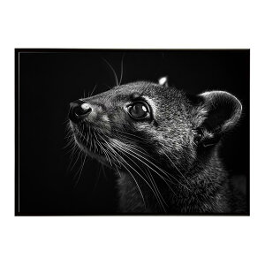 Civet �V�x�b�g �W�r�G �L �T�o���i �A�t���J ���� ���R �l�C�`���[ ���� �A�j�}�� �쐶���� �ʐ^�|�X�^�[ �C���e���A ������� �v�����g�|�X�^�[ �t�H�g �V���v�� ������ ���� �傫��/lh-poster-6