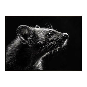 Civet �V�x�b�g �W�r�G �L �T�o���i �A�t���J ���� ���R �l�C�`���[ ���� �A�j�}�� �쐶���� �ʐ^�|�X�^�[ �C���e���A ������� �v�����g�|�X�^�[ �t�H�g �V���v�� ������ ���� �傫��/lh-poster-6