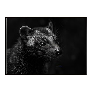 Civet �V�x�b�g �W�r�G �L �T�o���i �A�t���J ���� ���R �l�C�`���[ ���� �A�j�}�� �쐶���� �ʐ^�|�X�^�[ �C���e���A ������� �v�����g�|�X�^�[ �t�H�g �V���v�� ������ ���� �傫��/lh-poster-6