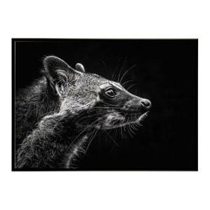 Civet �V�x�b�g �W�r�G �L �T�o���i �A�t���J ���� ���R �l�C�`���[ ���� �A�j�}�� �쐶���� �ʐ^�|�X�^�[ �C���e���A ������� �v�����g�|�X�^�[ �t�H�g �V���v�� ������ ���� �傫��/lh-poster-6