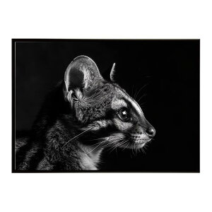 Genet �W�F�l�b�g �L �T�o���i �A�t���J ���� ���R �l�C�`���[ ���� �A�j�}�� �쐶���� �ʐ^�|�X�^�[ �C���e���A ������� �v�����g�|�X�^�[ �t�H�g �V���v�� ������ ���� �傫��/lh-poster-6408