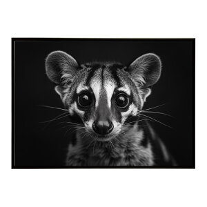 Genet �W�F�l�b�g �L �T�o���i �A�t���J ���� ���R �l�C�`���[ ���� �A�j�}�� �쐶���� �ʐ^�|�X�^�[ �C���e���A ������� �v�����g�|�X�^�[ �t�H�g �V���v�� ������ ���� �傫��/lh-poster-6409