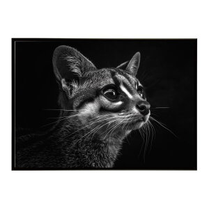 Genet �W�F�l�b�g �L �T�o���i �A�t���J ���� ���R �l�C�`���[ ���� �A�j�}�� �쐶���� �ʐ^�|�X�^�[ �C���e���A ������� �v�����g�|�X�^�[ �t�H�g �V���v�� ������ ���� �傫��/lh-poster-6412