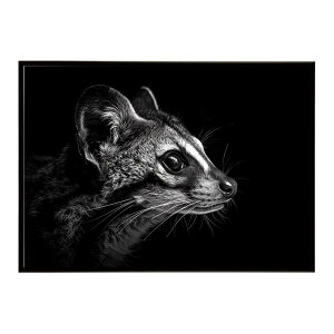 Genet �W�F�l�b�g �L �T�o���i �A�t���J ���� ���R �l�C�`���[ ���� �A�j�}�� �쐶���� �ʐ^�|�X�^�[ �C���e���A ������� �v�����g�|�X�^�[ �t�H�g �V���v�� ������ ���� �傫��/lh-poster-6414