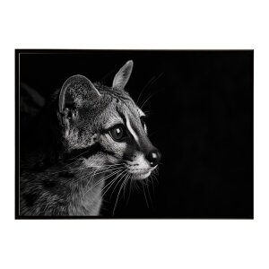 Genet �W�F�l�b�g �L �T�o���i �A�t���J ���� ���R �l�C�`���[ ���� �A�j�}�� �쐶���� �ʐ^�|�X�^�[ �C���e���A ������� �v�����g�|�X�^�[ �t�H�g �V���v�� ������ ���� �傫��/lh-poster-6415