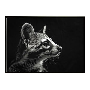 Genet �W�F�l�b�g �L �T�o���i �A�t���J ���� ���R �l�C�`���[ ���� �A�j�}�� �쐶���� �ʐ^�|�X�^�[ �C���e���A ������� �v�����g�|�X�^�[ �t�H�g �V���v�� ������ ���� �傫��/lh-poster-6418
