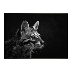 Genet �W�F�l�b�g �L �T�o���i �A�t���J ���� ���R �l�C�`���[ ���� �A�j�}�� �쐶���� �ʐ^�|�X�^�[ �C���e���A ������� �v�����g�|�X�^�[ �t�H�g �V���v�� ������ ���� �傫��/lh-poster-6419
