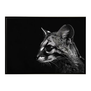 Genet �W�F�l�b�g �L �T�o���i �A�t���J ���� ���R �l�C�`���[ ���� �A�j�}�� �쐶���� �ʐ^�|�X�^�[ �C���e���A ������� �v�����g�|�X�^�[ �t�H�g �V���v�� ������ ���� �傫��/lh-poster-6424