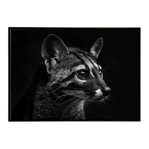 Genet �W�F�l�b�g �L �T�o���i �A�t���J ���� ���R �l�C�`���[ ���� �A�j�}�� �쐶���� �ʐ^�|�X�^�[ �C���e���A ������� �v�����g�|�X�^�[ �t�H�g �V���v�� ������ ���� �傫��/lh-poster-6438