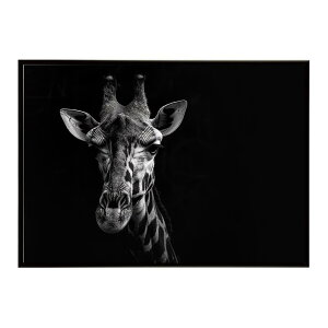 Giraffe �L���� �W���t �T�o���i �A�t���J ���� ���R �l�C�`���[ ���� �A�j�}�� �쐶���� �ʐ^�|�X�^�[ �C���e���A ������� �v�����g�|�X�^�[ �t�H�g �V���v�� ������ ���� �傫��/lh-poster-6441