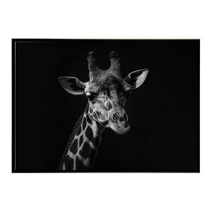 Giraffe �L���� �W���t �T�o���i �A�t���J ���� ���R �l�C�`���[ ���� �A�j�}�� �쐶���� �ʐ^�|�X�^�[ �C���e���A ������� �v�����g�|�X�^�[ �t�H�g �V���v�� ������ ���� �傫��/lh-poster-6442
