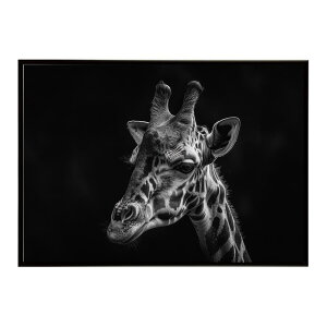 Giraffe �L���� �W���t �T�o���i �A�t���J ���� ���R �l�C�`���[ ���� �A�j�}�� �쐶���� �ʐ^�|�X�^�[ �C���e���A ������� �v�����g�|�X�^�[ �t�H�g �V���v�� ������ ���� �傫��/lh-poster-6444