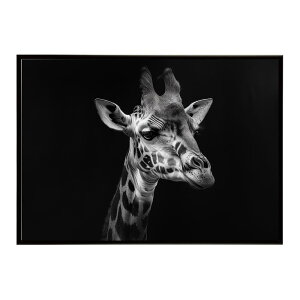 Giraffe �L���� �W���t �T�o���i �A�t���J ���� ���R �l�C�`���[ ���� �A�j�}�� �쐶���� �ʐ^�|�X�^�[ �C���e���A ������� �v�����g�|�X�^�[ �t�H�g �V���v�� ������ ���� �傫��/lh-poster-6445