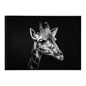 Giraffe �L���� �W���t �T�o���i �A�t���J ���� ���R �l�C�`���[ ���� �A�j�}�� �쐶���� �ʐ^�|�X�^�[ �C���e���A ������� �v�����g�|�X�^�[ �t�H�g �V���v�� ������ ���� �傫��/lh-poster-6446