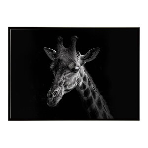 Giraffe �L���� �W���t �T�o���i �A�t���J ���� ���R �l�C�`���[ ���� �A�j�}�� �쐶���� �ʐ^�|�X�^�[ �C���e���A ������� �v�����g�|�X�^�[ �t�H�g �V���v�� ������ ���� �傫��/lh-poster-6447