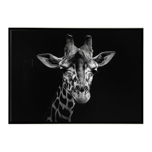 Giraffe �L���� �W���t �T�o���i �A�t���J ���� ���R �l�C�`���[ ���� �A�j�}�� �쐶���� �ʐ^�|�X�^�[ �C���e���A ������� �v�����g�|�X�^�[ �t�H�g �V���v�� ������ ���� �傫��/lh-poster-6450