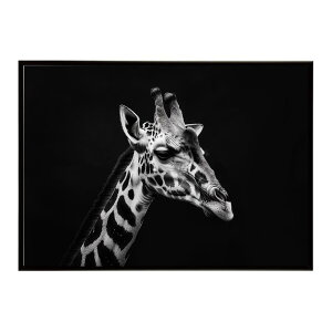 Giraffe �L���� �W���t �T�o���i �A�t���J ���� ���R �l�C�`���[ ���� �A�j�}�� �쐶���� �ʐ^�|�X�^�[ �C���e���A ������� �v�����g�|�X�^�[ �t�H�g �V���v�� ������ ���� �傫��/lh-poster-6451