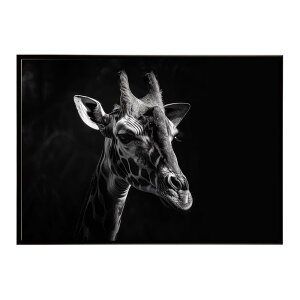 Giraffe �L���� �W���t �T�o���i �A�t���J ���� ���R �l�C�`���[ ���� �A�j�}�� �쐶���� �ʐ^�|�X�^�[ �C���e���A ������� �v�����g�|�X�^�[ �t�H�g �V���v�� ������ ���� �傫��/lh-poster-6452