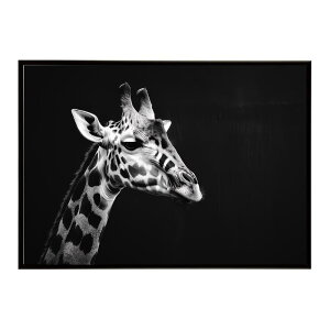 Giraffe �L���� �W���t �T�o���i �A�t���J ���� ���R �l�C�`���[ ���� �A�j�}�� �쐶���� �ʐ^�|�X�^�[ �C���e���A ������� �v�����g�|�X�^�[ �t�H�g �V���v�� ������ ���� �傫��/lh-poster-6453