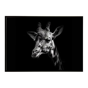 Giraffe �L���� �W���t �T�o���i �A�t���J ���� ���R �l�C�`���[ ���� �A�j�}�� �쐶���� �ʐ^�|�X�^�[ �C���e���A ������� �v�����g�|�X�^�[ �t�H�g �V���v�� ������ ���� �傫��/lh-poster-6454