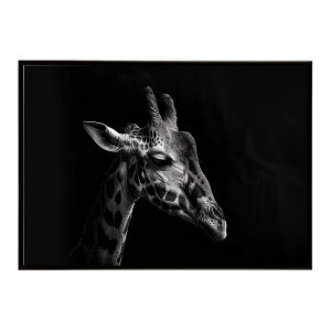 Giraffe �L���� �W���t �T�o���i �A�t���J ���� ���R �l�C�`���[ ���� �A�j�}�� �쐶���� �ʐ^�|�X�^�[ �C���e���A ������� �v�����g�|�X�^�[ �t�H�g �V���v�� ������ ���� �傫��/lh-poster-6458