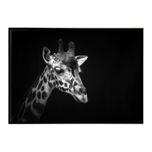 Giraffe �L���� �W���t �T�o���i �A�t���J ���� ���R �l�C�`���[ ���� �A�j�}�� �쐶���� �ʐ^�|�X�^�[ �C���e���A ������� �v�����g�|�X�^�[ �t�H�g �V���v�� ������ ���� �傫��/lh-poster-6459